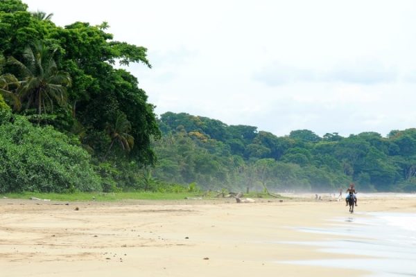 THE BEST BEACHES IN COSTA RICA